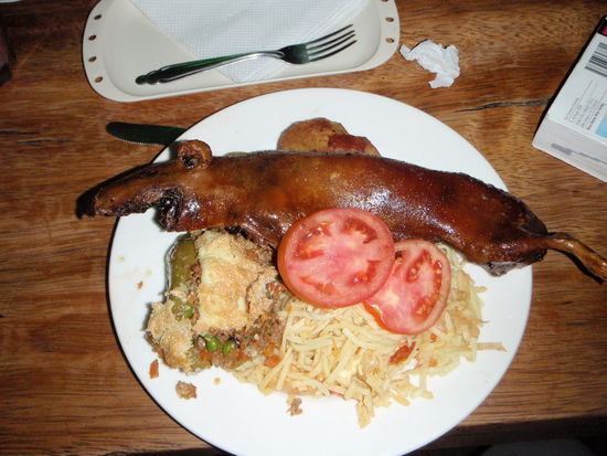 Cuy - das Meerschwein des Schreckens