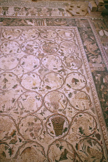 Umm al- Rasas, Mosaikfußboden