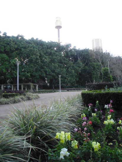 Hintergrund: Sydney Tower