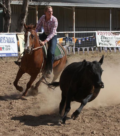 Campdrafting, und auch wenn ich so relaxt aussehe ist das im vollen Galopp, ich habe sogar meinen Hut verloren 