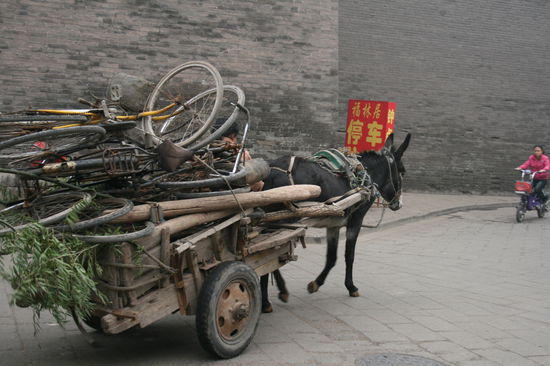oder reiten noch auf eseln!!!!!
