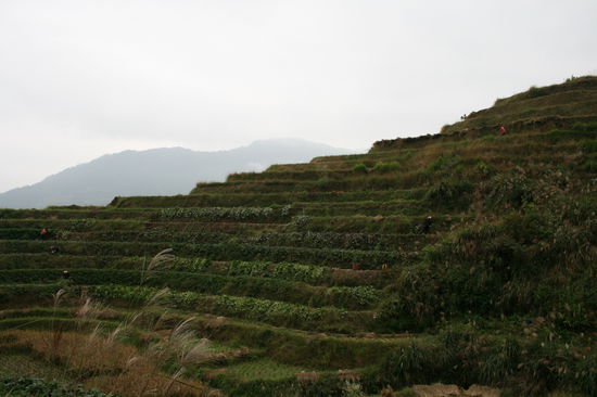 die reisterrassen ohne chinesen