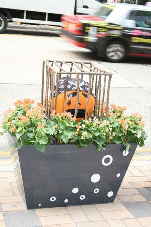 Hilfe!!! Ich will hier raus!!!! Bald ist Halloween!!!!