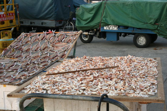 getrockneter fisch und ganz sicher ohne fliegen