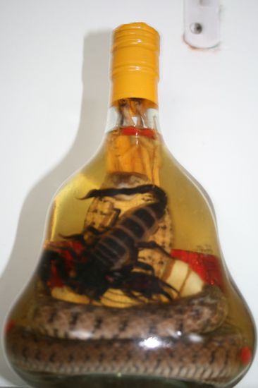 auch wir mussten ihn probieren!!!!