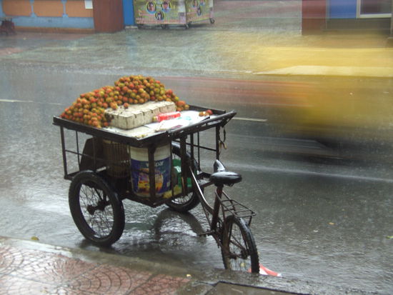 Sehgts de Bloadan vom Reg'n?
(des gelbe is a Mopedfahrer)