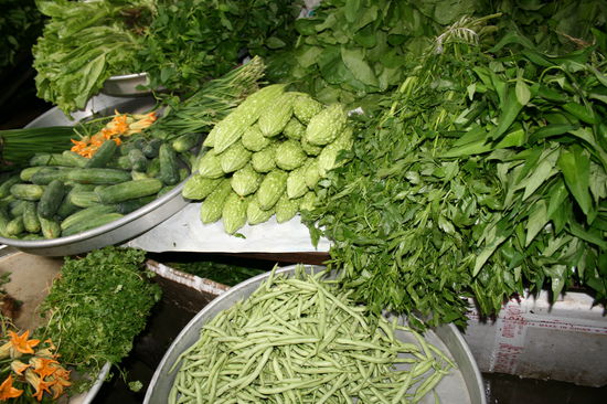 rechts sieht man Morning-Glory