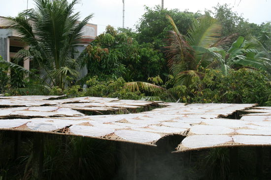 Trockenanlage fuer's Reispapier