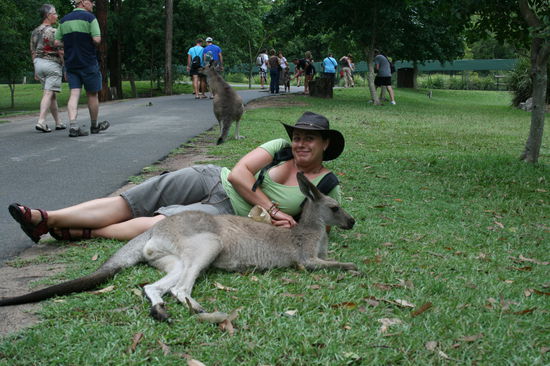 Ein Kaenguru mueste man sein 