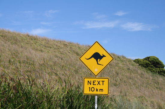 Die beruehmten Schilder