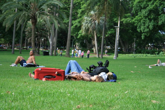 Die hatten wohl auch kein Zimmer gekommen