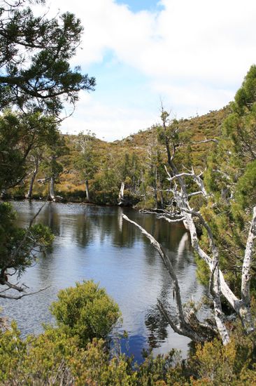Wallaby See diesmal ohne Wallaby