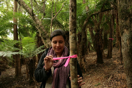 Wegmakierung besser als bei Haensel und Grettel