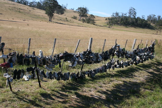 Zum Mitnehmen oder doch nur Deko???