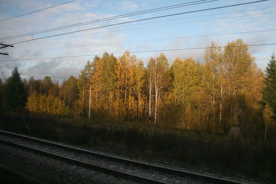 Wo ist den nun der Baer?????