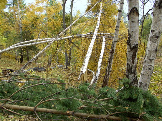Das mit dem Sturm, die Woche davor, war kein Witz!