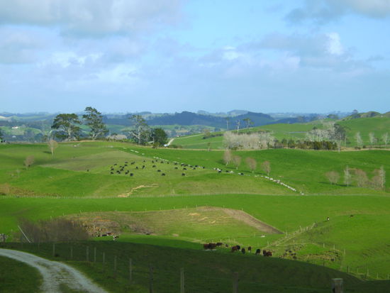 das neuseeländische Mostviertel...