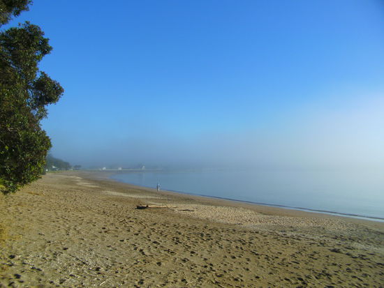 Morgennebel am Meer