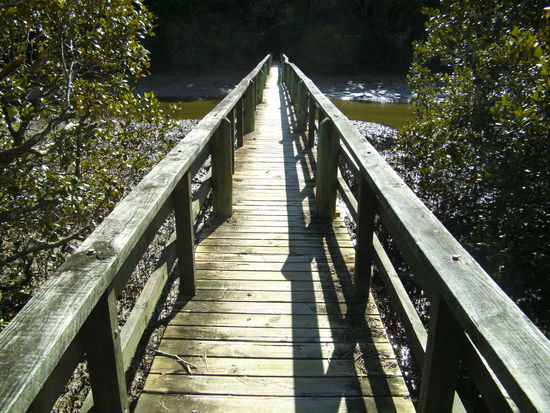 Brücke über den Sumpf