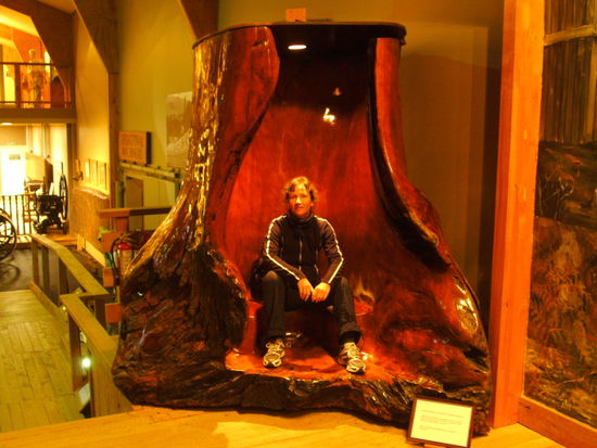 im Kauri-Museum