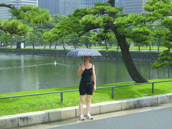 Sonnenschirm nach Regenguss