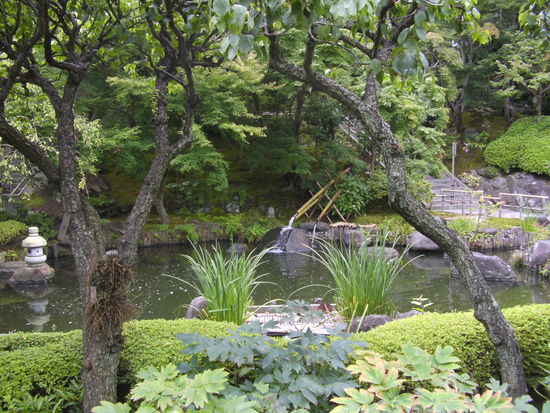 ... und wieder eine Grünoase