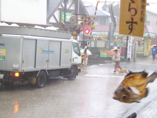 da flüchtet sogar der Fisch...