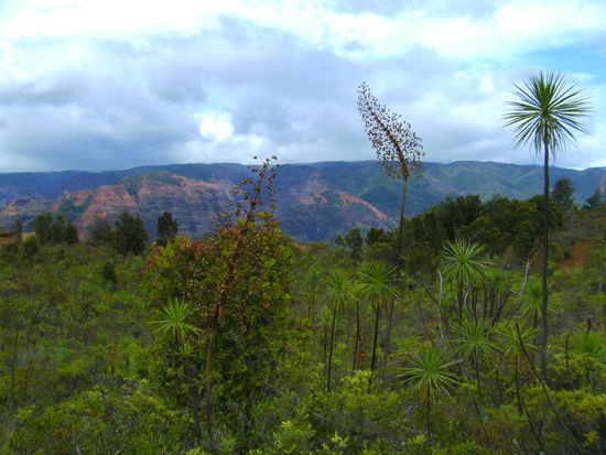 das gibt’s nur hier