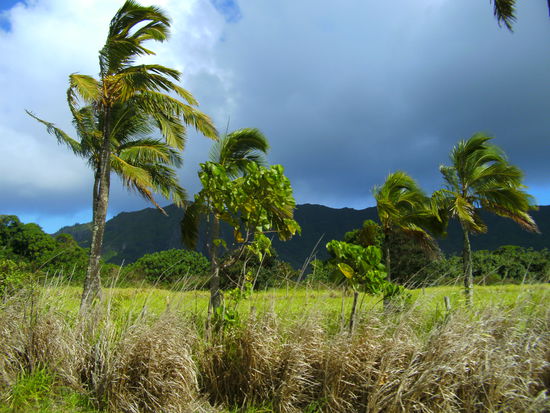 der nächste Regen kommt bestimmt...