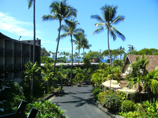 ein letzter Blick aus dem Fenster