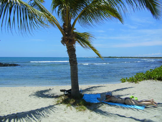 unsere letzte Palme am Traumstrand