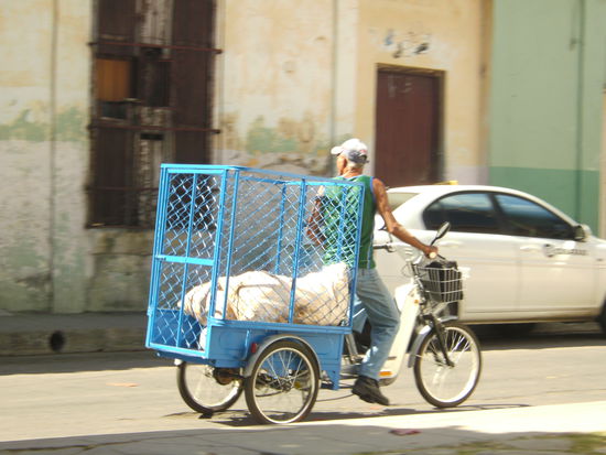 Elektrofahrradtransporter