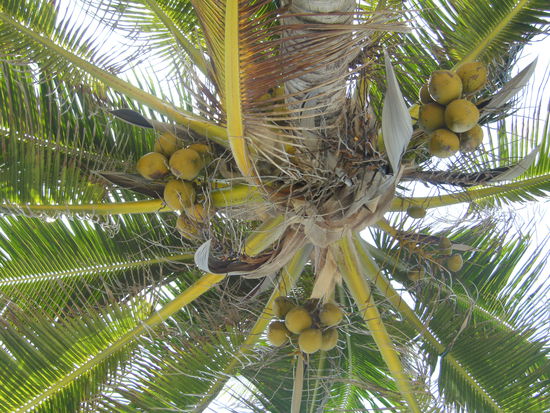 gefährlicher Liegeplatz