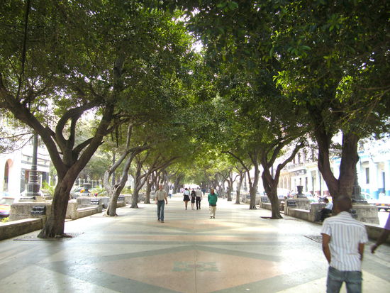 Prado - ein Ebenbild der Rambla in Barcelona