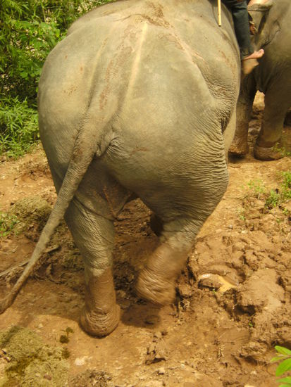 "heute ist nicht alle Tage, ..."
