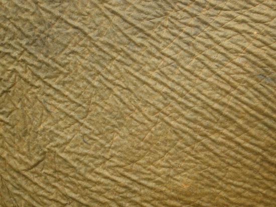 Photo Art | Elefantenhaut