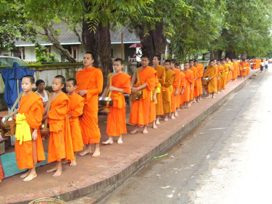 eine schier endlose orange Reihe