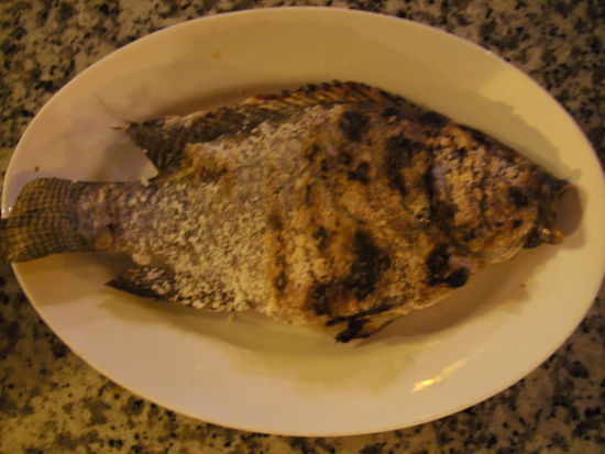 (Mekong?)-Fisch in Salzkruste mit Zitronengrasfülle
