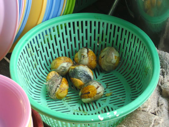 Kükeneier - gibt's auch in der Schale zum Auslöffeln