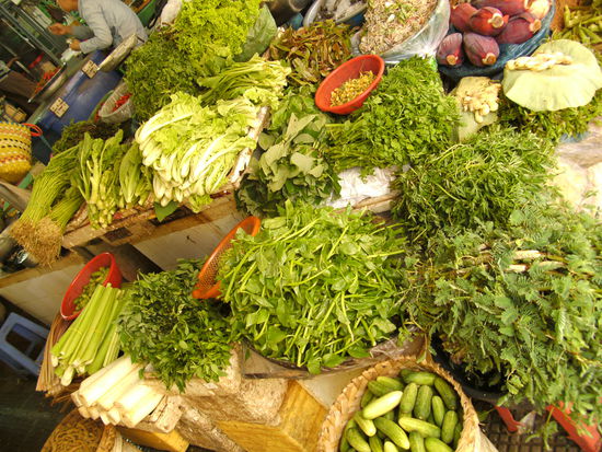 Auswahl an Kräutern am Food Market