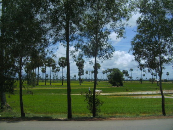 hier gibt's noch keine Traktoren