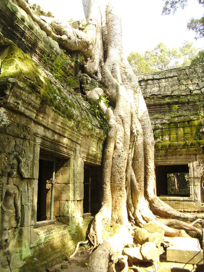 Ta Prohm