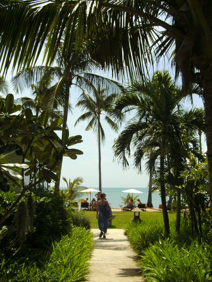 ... am Weg zum Strand