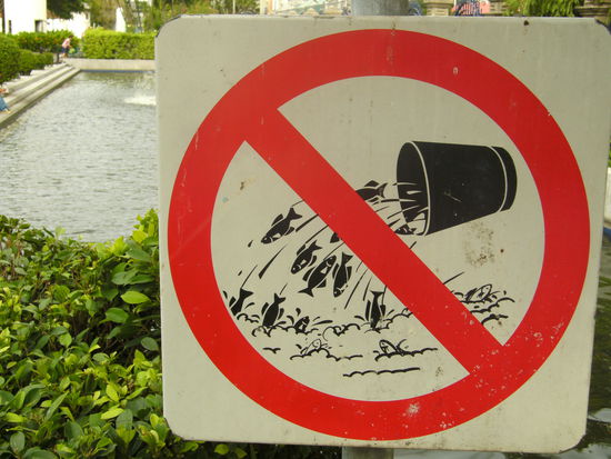 "Keine Fische ins Wasser werfen!" (Bangkok)