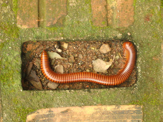 Photo Art | Natur in Stein