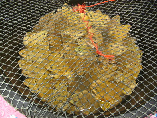 hier leben die Frösche noch... (Local Market, Kho Samui)