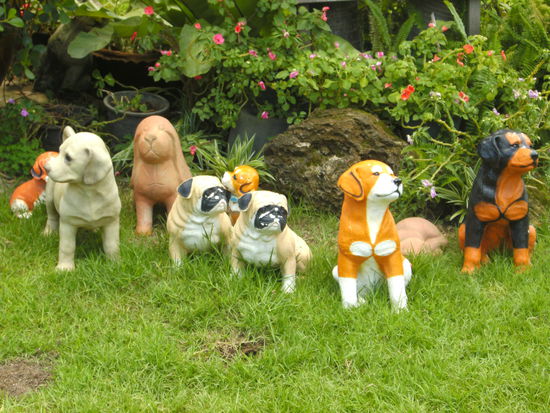 Hunde im Wat Ket Karam