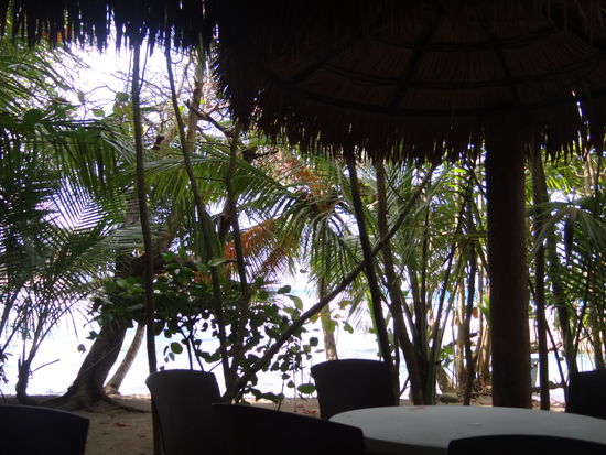 Bar am Pointe Baptiste Strand