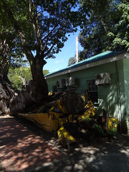 bei Hurrikan zermalmter Schulbus