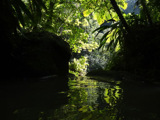 Naturidyll am Fuße der Trafalgar Falls